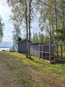 a house on the shore of a lake with trees at Kuikkaniemen Rantamökki in Ranua +30 photos
