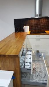 Kuchyňa alebo kuchynka v ubytovaní Spa Apartamenty Lidzbark