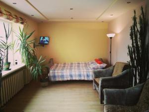 a bedroom with a bed and a couch and a window at Green Hall apartment in Ignalina