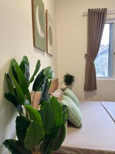 a plant sitting on a bed next to a window at Central room in district 1, 450m to Ben Thanh market in Kon Rung (1)