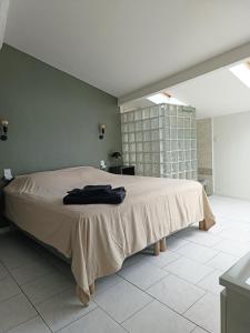 a bedroom with a large bed in a room at Maison 4 pers, calme et confort in Opoul-Périllos