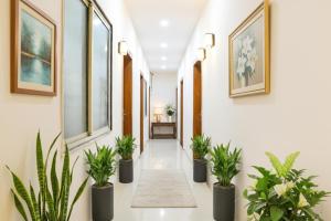 a corridor with potted plants in a hallway at FabHotel Grand Giriraj in Indore +16 photos