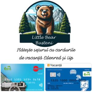 a flyer for a bear bureau with a picture of a bear at Little Bear Busteni in Buşteni