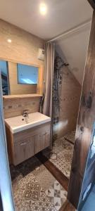 a small bathroom with a sink and a shower at Maison proche centre ville Nantes in Saint-Herblain