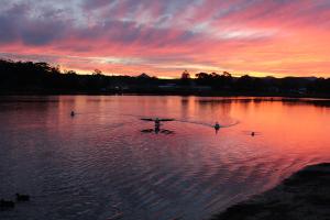 a person is standing in a lake at sunset at Holiday Haven Burrill Lake in Burrill Lake