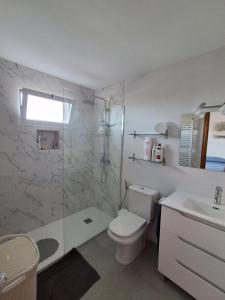 a bathroom with a shower and a toilet and a sink at Oceanview House Altea Hills in Altea la Vieja