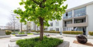 Κήπος έξω από το Andringa Walk, Modern 2 Bedroom Apartment