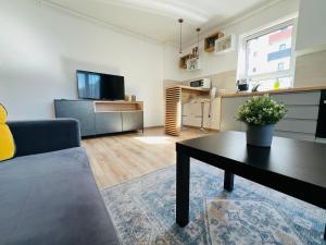 a living room with a couch and a table at Apartment Richy Brasov in Braşov