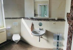 a bathroom with a sink and a toilet and a mirror at Ferienwohnung 23 Zur alten Ladeneinheit in Krauschwitz +6 photos