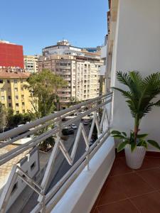 a plant on a balcony with a view of a city at Tanja Pearl in Tangier