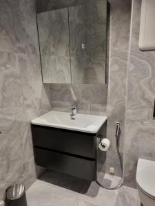 a bathroom with a sink and a mirror and a toilet at Modern apartment in Drammen +24 photos