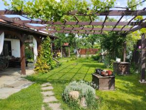a garden with a pergola and a yard with a lawn at Садиба-студіо Під вишнею in Astei