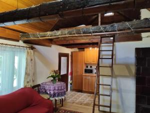 a loft bed in a room with a table and a ladder at Садиба-студіо Під вишнею in Astei