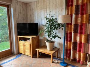 een woonkamer met een televisie en een potplant bij Chalet L'Eider in Bolquere Pyrenees 2000