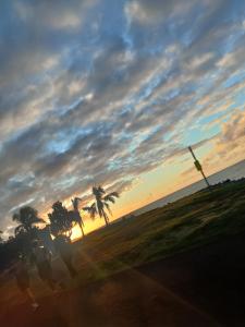 オーベルジャンヴィルにあるAubergenville, Calme Détenteの浜辺のヤシの木と夕日