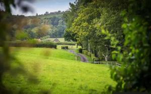 ein Grasfeld mit einer Straße in der Ferne in der Unterkunft Cottage Within Country Estate in Fernhurst