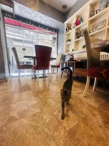 Φωτογραφία από το άλμπουμ του Taksim AlyonSuite Hotel Istanbul στην Κωνσταντινούπολη