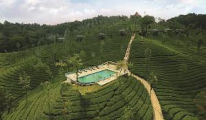 Wild Planet Jungle Resort dari pandangan mata burung