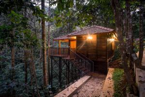Zahrada ubytování Wild Planet Jungle Resort
