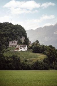 a house on a hill with a green field at THE HUS am Weinberg in Flums