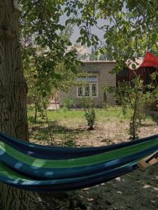 una hamaca colgando de un árbol delante de una casa en Cottage De Hunza- A Soul Retreat Sanctuary, en Hunza