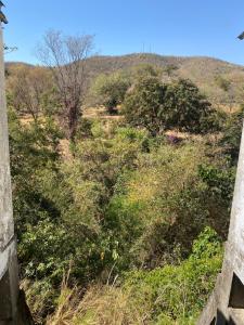 a view of a hill with trees and bushes at Hotel Araguaia in Goiás