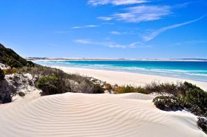 a sandy beach with the ocean in the background at Longbeach Apartments in Coffin Bay