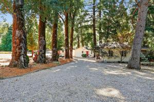 a driveway with trees and a house in the background at Dog-Friendly Wine Country Cabin cabin in Cobb