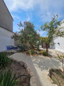 a garden with two trees and a building at El Patio de Doña Tere in Villarta de San Juan