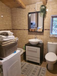 a bathroom with a sink and a toilet and a mirror at Villa Skyline in Kotor +67 photos
