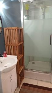 a bathroom with a shower and a sink and a glass shower door at Chez Fannie et Alain in Saint-Paul