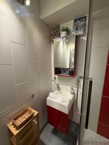 ein Badezimmer mit Waschbecken und Spiegel in der Unterkunft CHAMONIX Centre - Studio de charme avec parking, Vue sur le Mont-Blc in Chamonix-Mont-Blanc