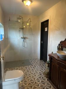 a bathroom with a shower and a toilet and a sink at The ring fort lodge in Glenties