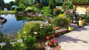 a garden with a bench and a pond at Villa Isaac - Piscine naturelle - Proche Boulerie Jump - 8p in Le Mans