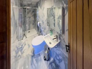 a bathroom with a toilet and a sink and a shower at Old Hall Cottage No 1 in Byers Green