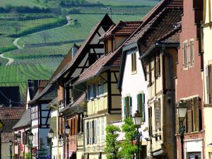 a row of houses in a street with a vineyard at Romance sur les Remparts - Route des Vins in Rouffach