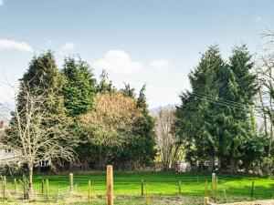a group of trees in a field with a fence at Ty Olwyn Bach - Uk36418 in Talybont