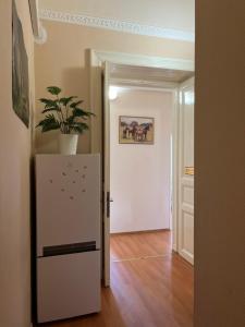 ein Zimmer mit einem weißen Kühlschrank und einer Pflanze in der Unterkunft Good Luck in Budapest