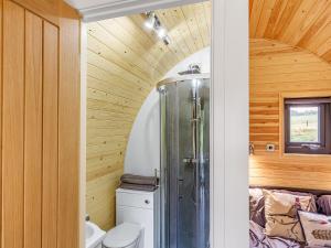 un baño con ducha y WC en Oak-Uk36258, en Llanfair Caereinion