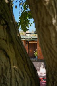 Fotografie z fotogalerie ubytování Forest Cottages Hotel EVN v Jerevanu