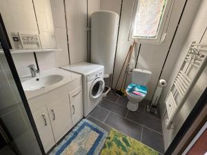 a small bathroom with a sink and a washing machine at Gîte de Daniel in Huppy