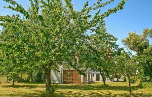 a house with trees in front of it at Ferienwohnung Mirow in Mirow +10 photos