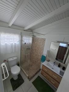 a bathroom with a shower and a toilet and a sink at Charmant F2 créole in Sainte-Luce
