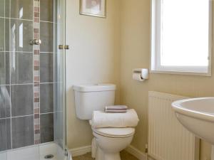 a bathroom with a toilet and a sink and a shower at Willow in Thornbury