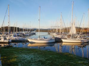 a group of boats docked in a harbor at Siskin Lodge - Uk39664 in Lunga