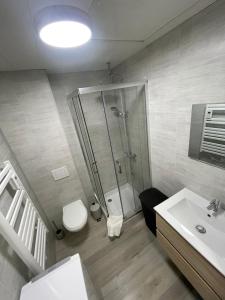 a bathroom with a shower and a toilet and a sink at Le nid des sources studio in Bourbonne-les-Bains