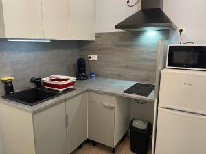 a small kitchen with a sink and a stove at Le nid des sources studio in Bourbonne-les-Bains