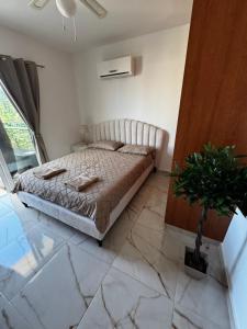 Un dormitorio con una cama y una planta en maceta. en Mythical Sands Resort and Spa, en Paralimni 9 fotos más