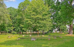 a park with a stone bench in the grass at Ferienwohnung Ankershagen in Friedrichsfeld
