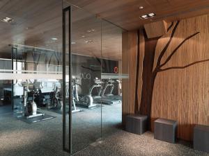 Fitness centrum a/nebo fitness zařízení v ubytování Hotel Dùa